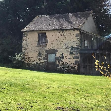 Reveil Aux Chants Des Oiseaux Asse-le-Riboul Bagian luar foto