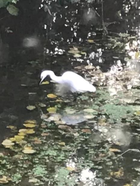 Reveil Aux Chants Des Oiseaux Asse-le-Riboul Bagian luar foto