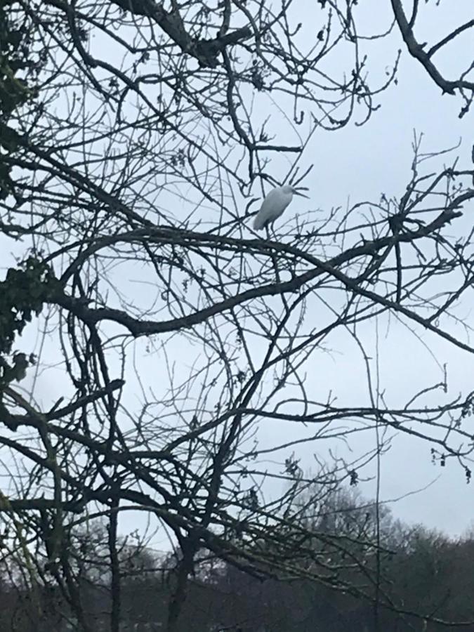 Reveil Aux Chants Des Oiseaux Asse-le-Riboul Bagian luar foto