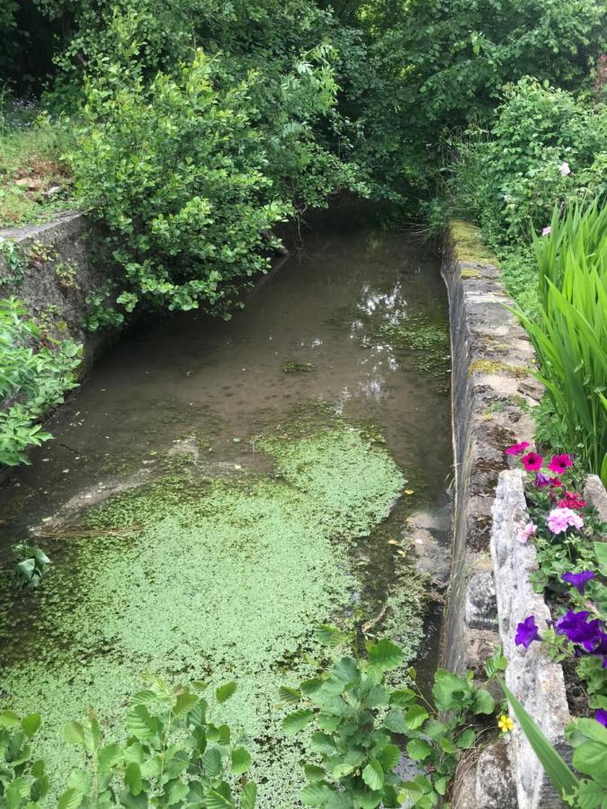 Reveil Aux Chants Des Oiseaux Asse-le-Riboul Bagian luar foto