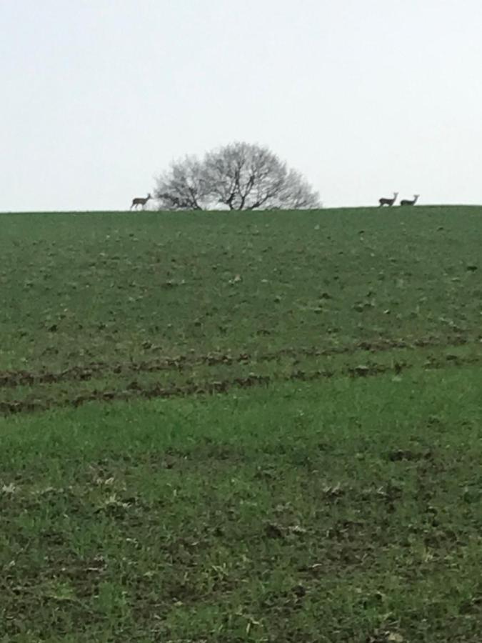Reveil Aux Chants Des Oiseaux Asse-le-Riboul Bagian luar foto